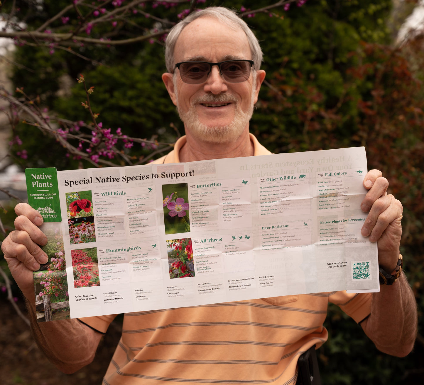 Native Plant Guide