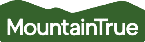 Mountain True Merch logo